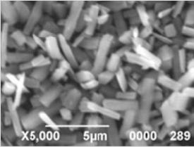 PET背板，創(chuàng)新還是“創(chuàng)心”？